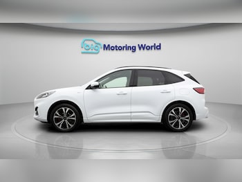 Used Ford Kuga 2021 for sale - 79177811: Photo