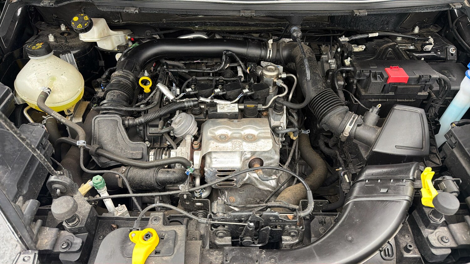 Used Ford Ecosport 2023 for sale - 77791953: Photo 18