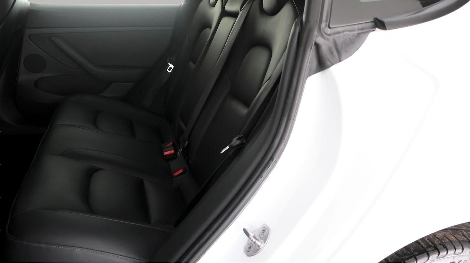 Used Tesla Model 3 2022 for sale - 78106601: Photo 16