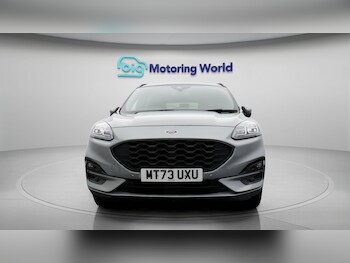 Used Ford Kuga 2023 for sale - 77525766: Photo