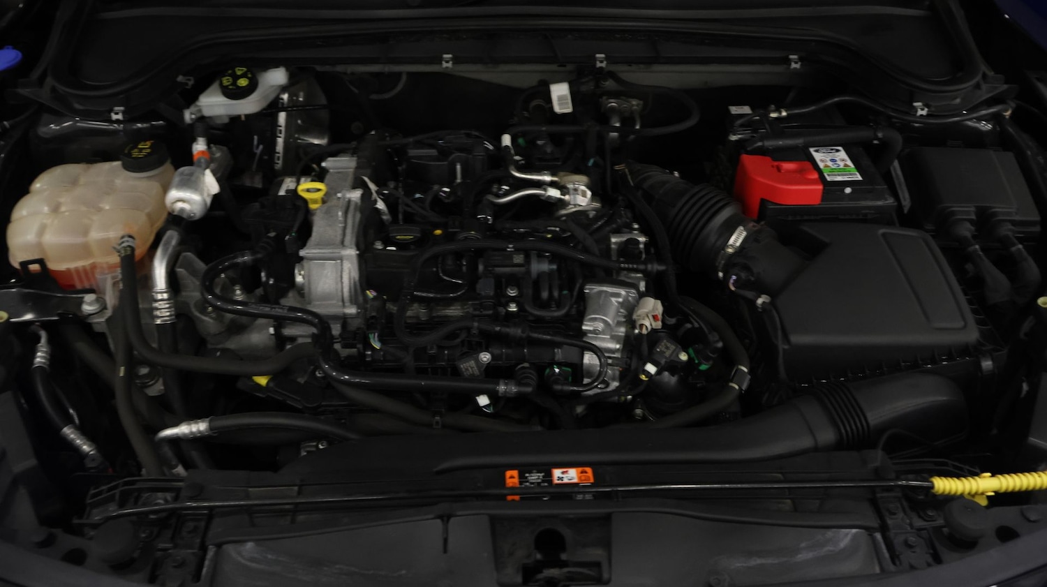 Used Ford Focus 2022 for sale - 77278482: Photo 19