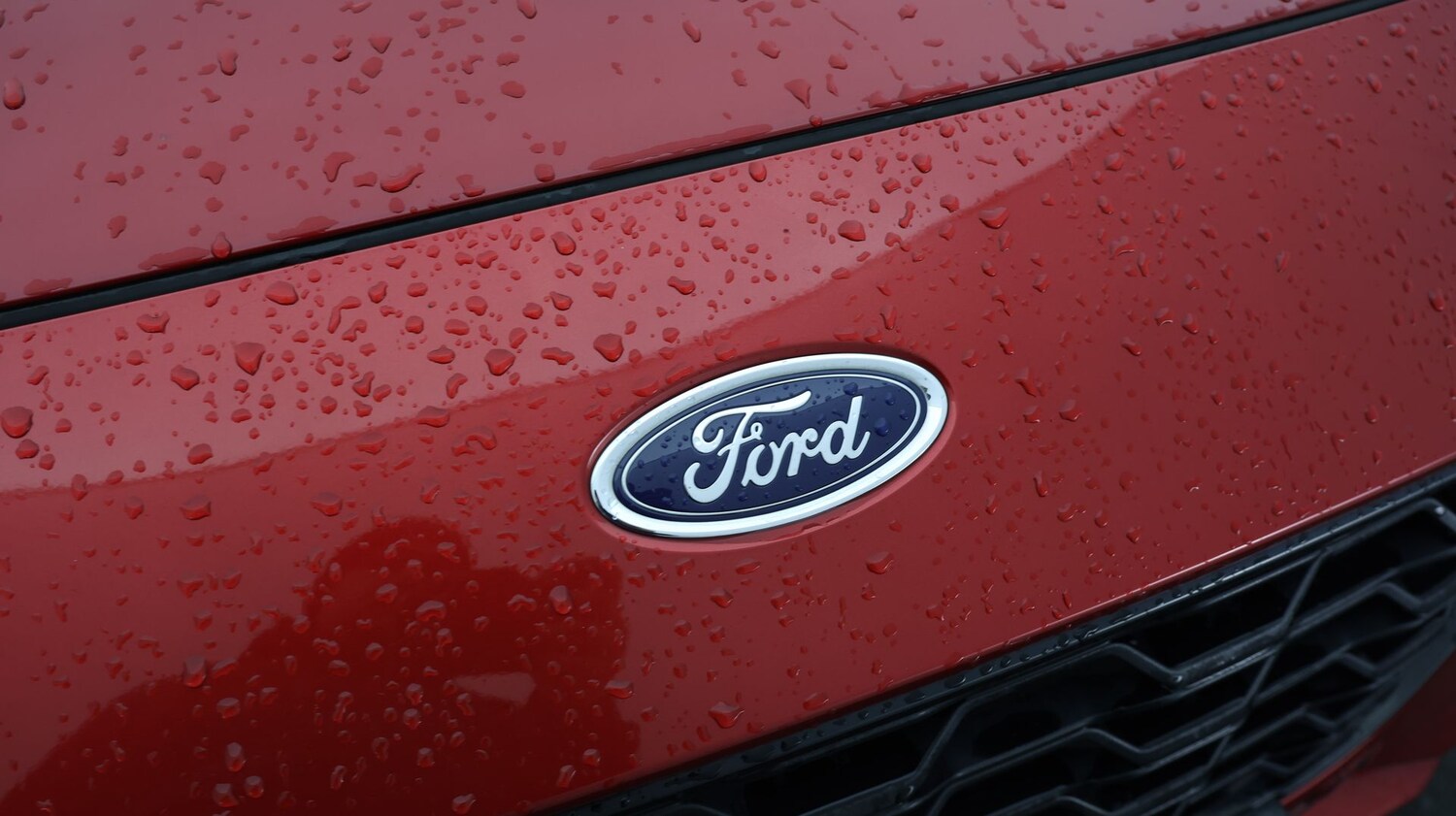 Used Ford Kuga 2020 for sale - 77463356: Photo 22