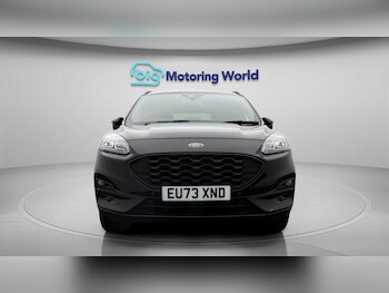 Used Ford Kuga 2023 for sale - 77622295: Photo