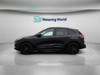 Used Ford Kuga 2023 for sale - 77622295: Photo