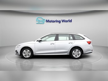 Used Skoda Octavia 2023 for sale - 77294775: Photo