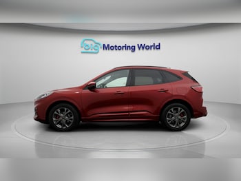 Used Ford Kuga 2020 for sale - 77498261: Photo