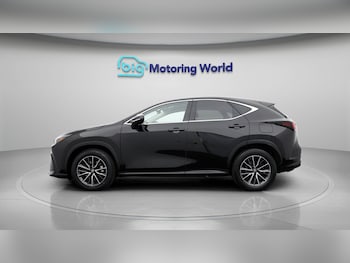 Used Lexus NX 2022 for sale - 77229189: Photo