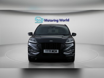 Used Ford Kuga 2021 for sale - 77675834: Photo