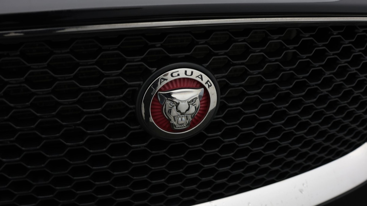 Used Jaguar F-Pace 2020 for sale - 77935922: Photo 23