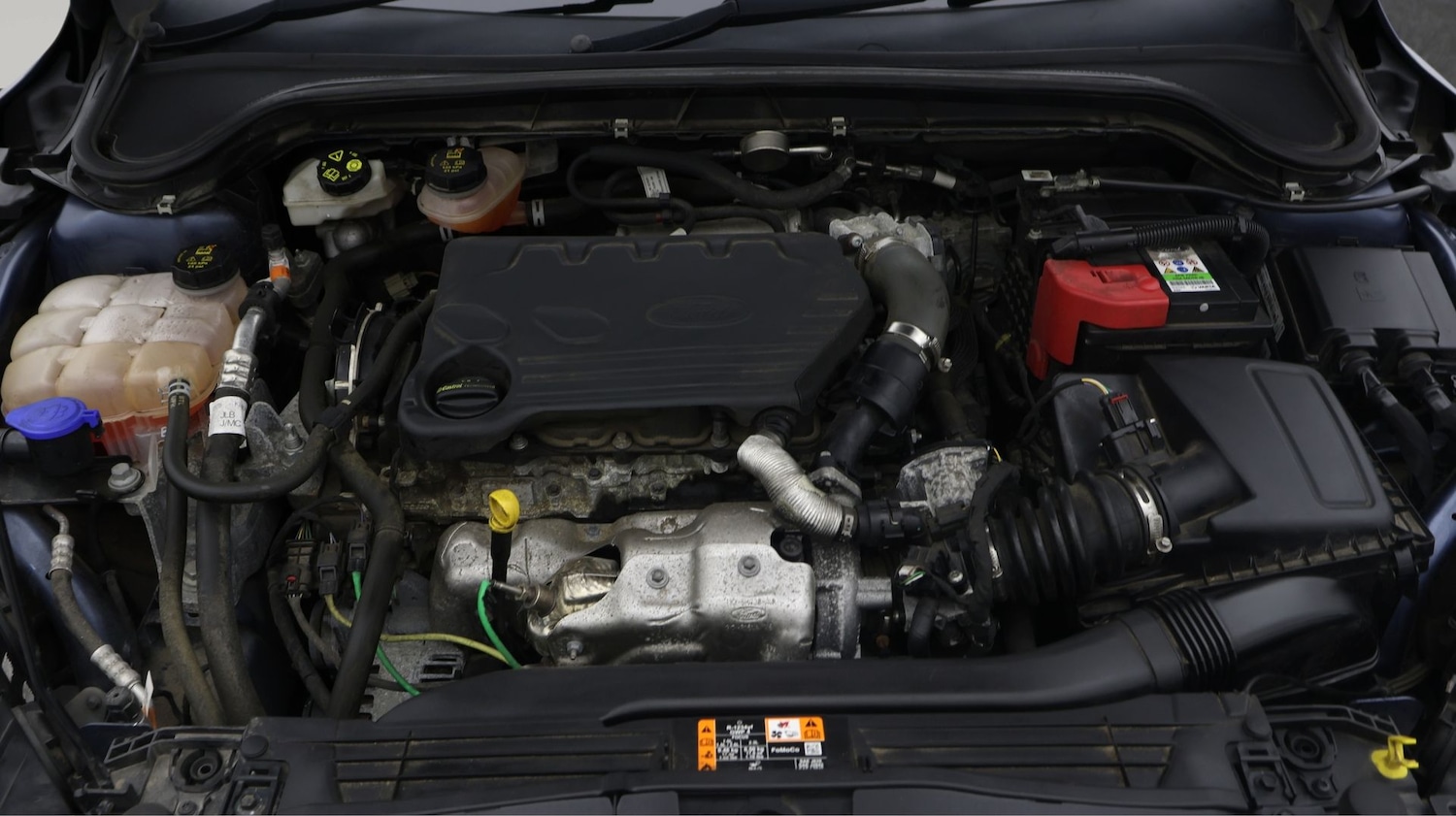 Used Ford Focus 2019 for sale - 77195391: Photo 19