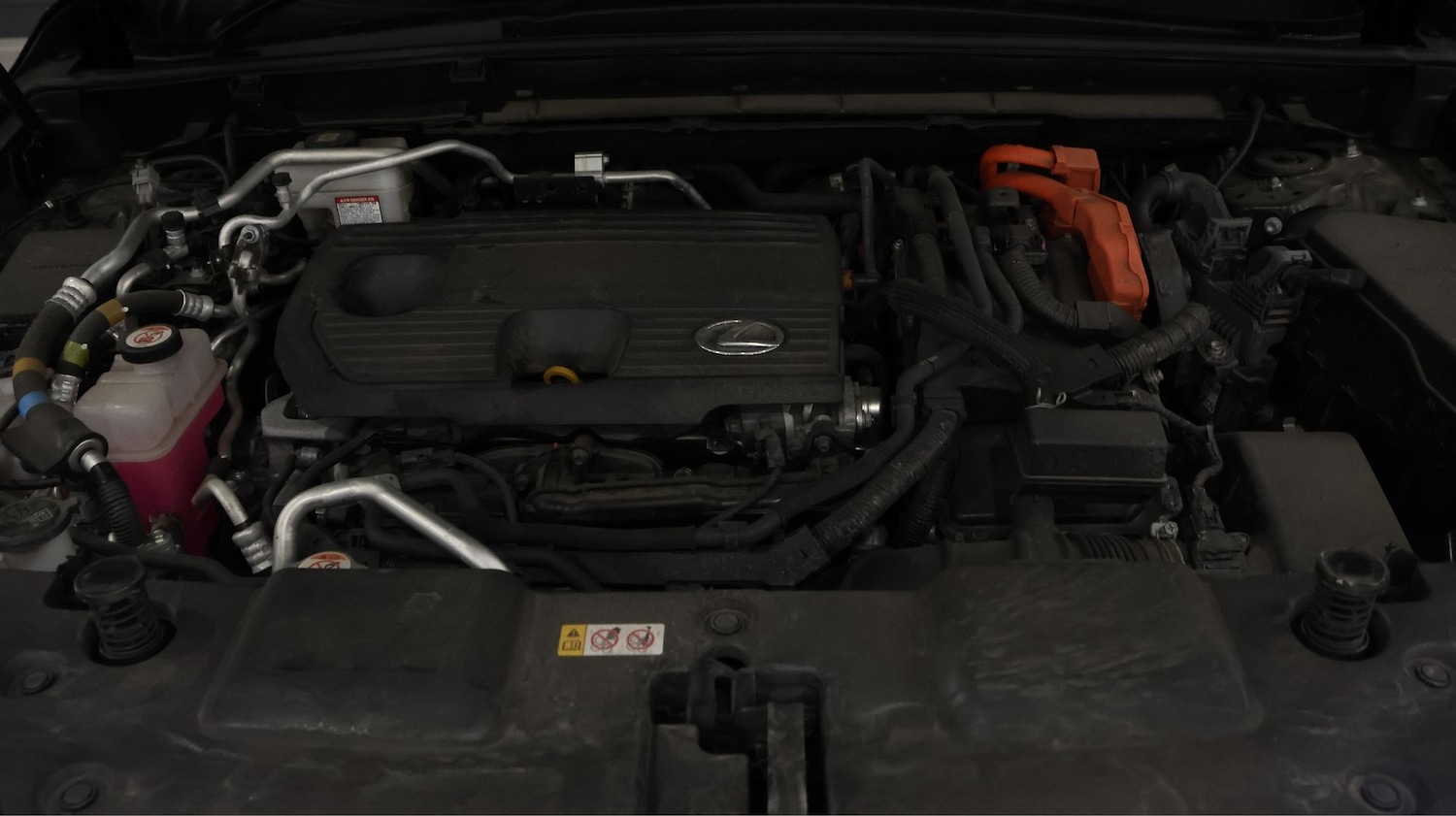 Used Lexus NX for sale - 77181988: Photo 19