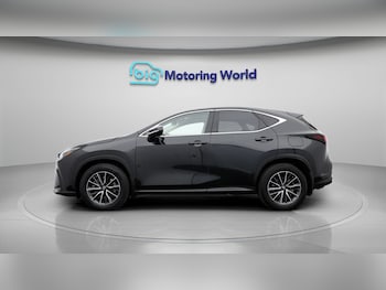 Used Lexus NX 2022 for sale - 77181988: Photo