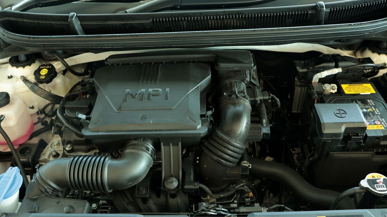 Used Kia Picanto for sale - 77749618: Photo 19