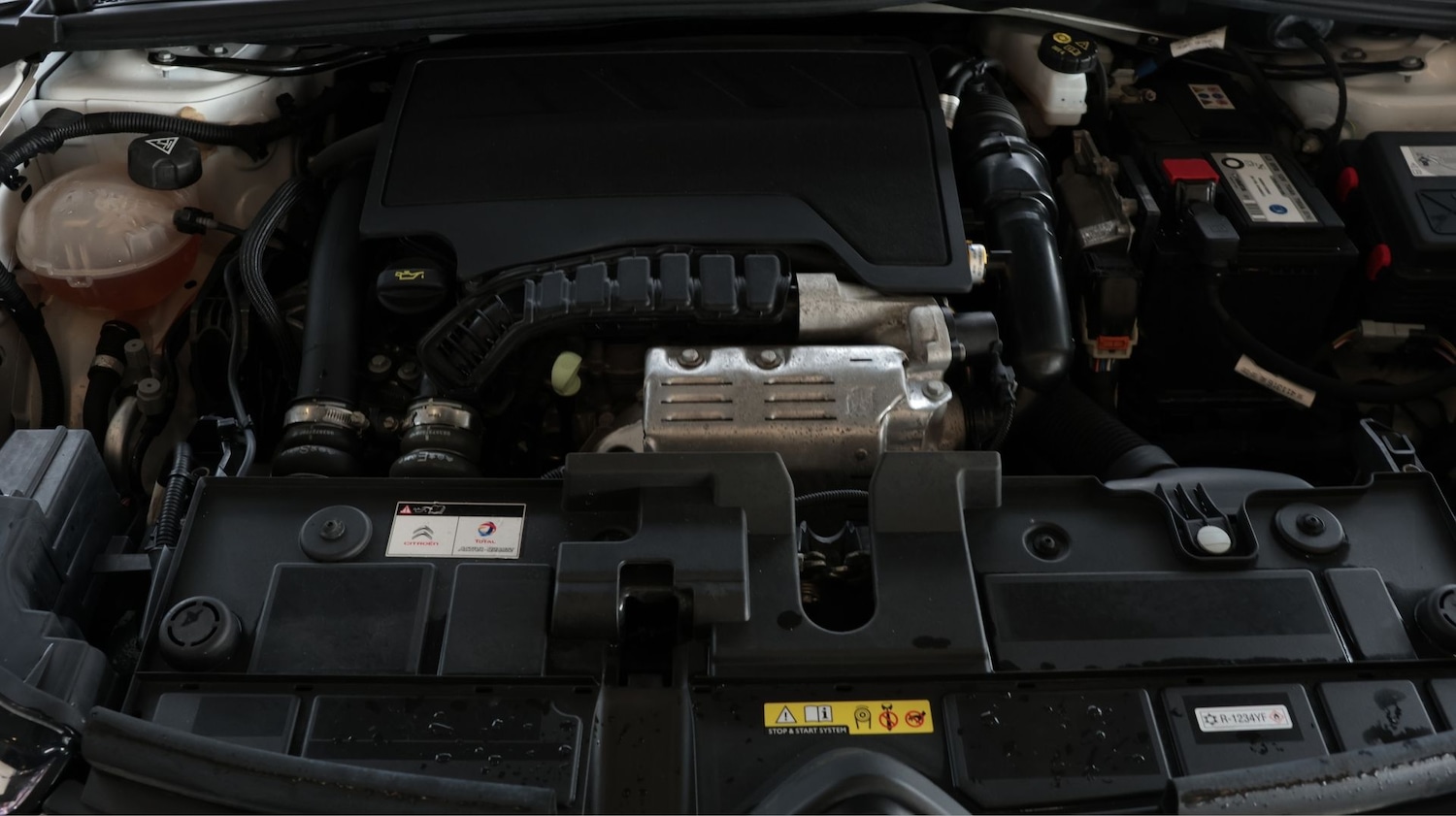 Used Citroen C4 2021 for sale - 77668293: Photo 19