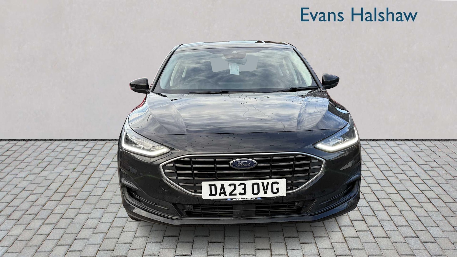 Used Ford Focus 2023 for sale - 77206491: Photo 5