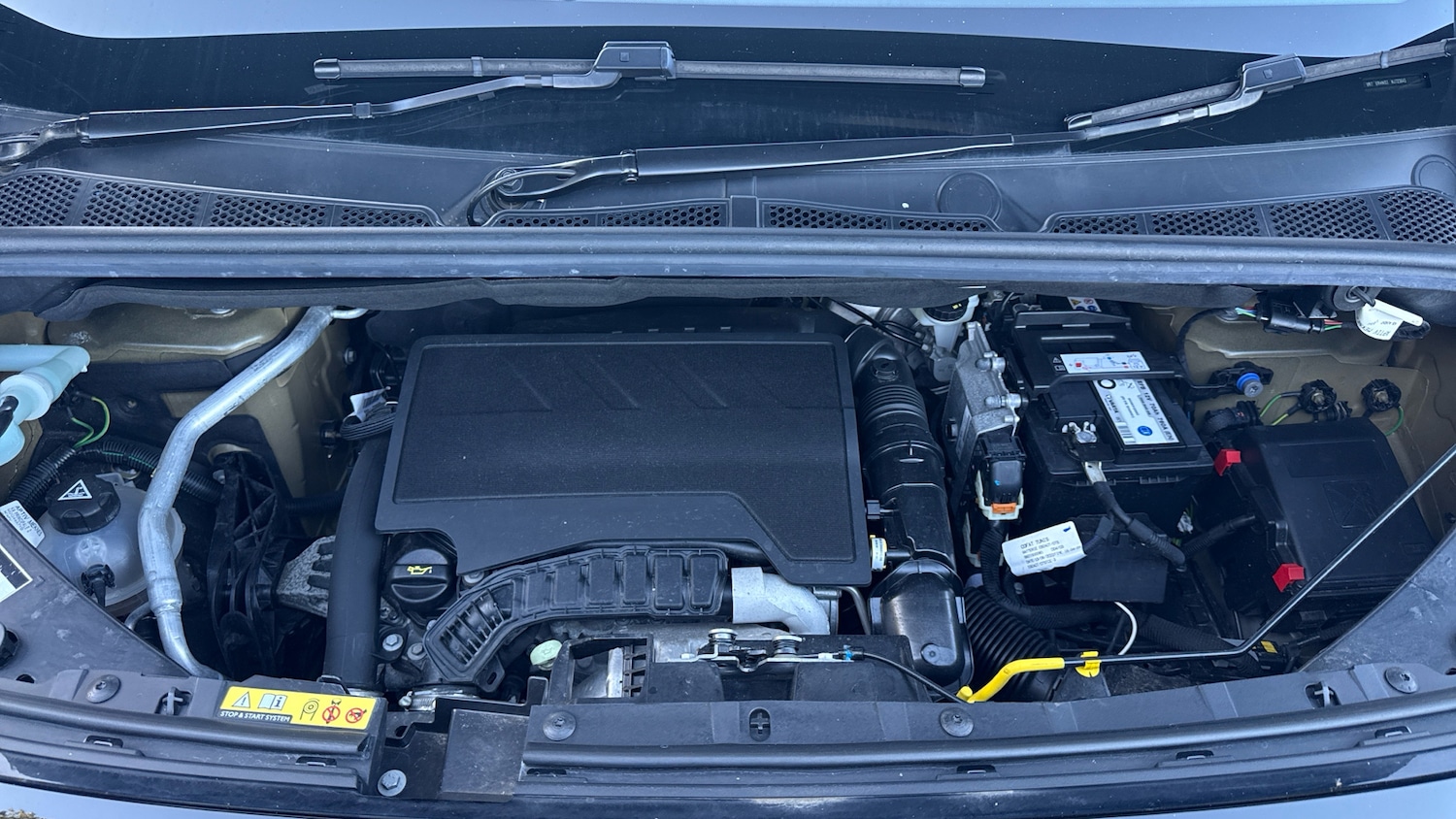 Used Citroen Berlingo 2022 for sale - 75992310: Photo 18