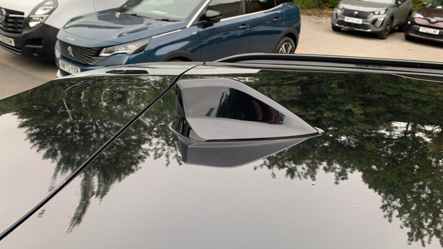 Vehicle 31