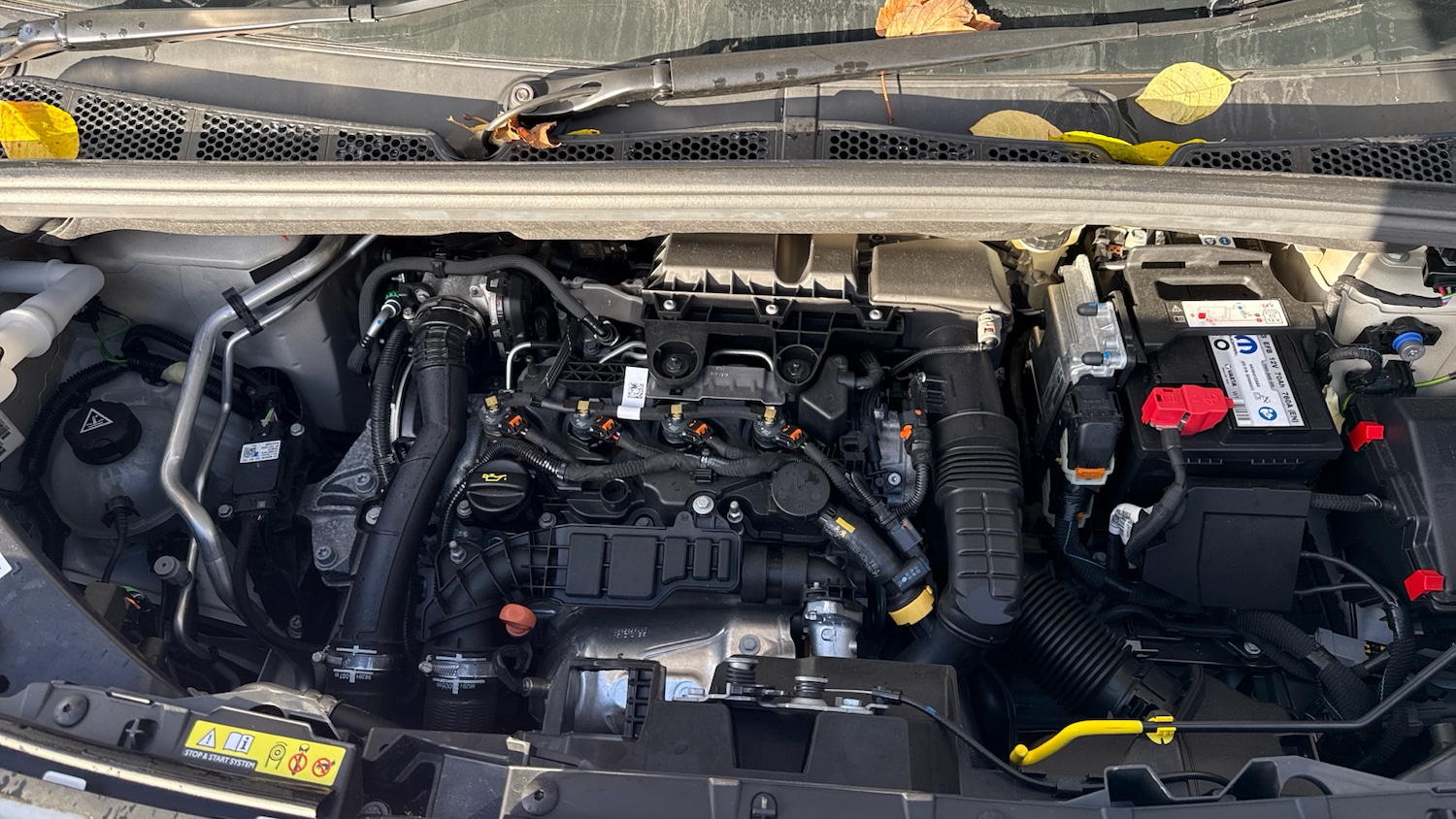 Used Citroen Berlingo 2024 for sale - 76744044: Photo 19