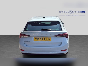 Used Skoda Octavia 2023 for sale - 79249547: Photo