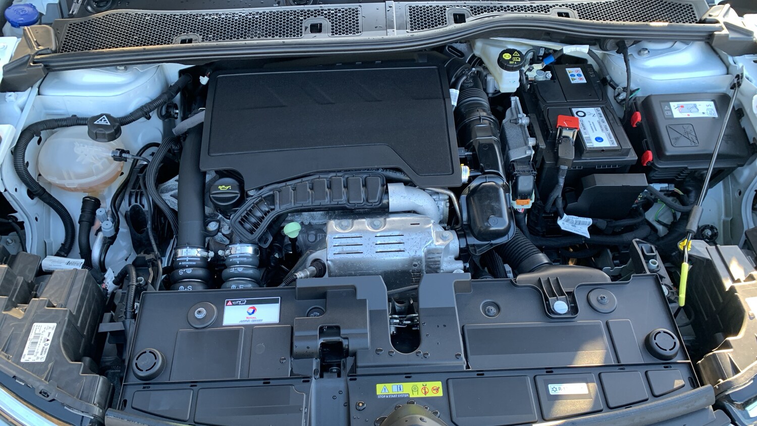 Used Citroen C4 2023 for sale - 76659871: Photo 19