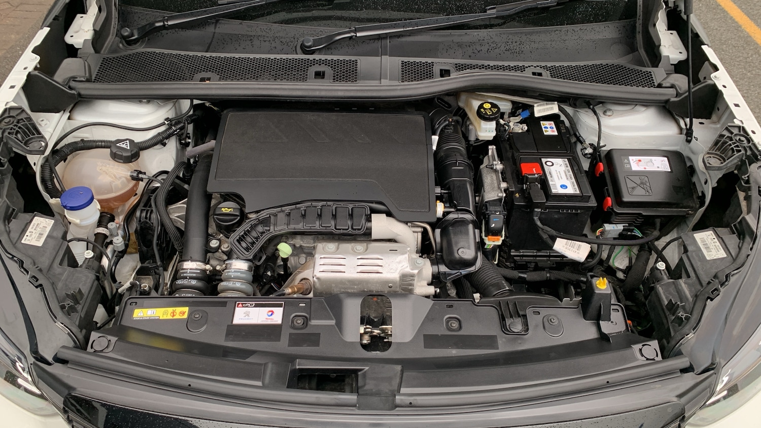 Used Peugeot 2008 2023 for sale - 76942819: Photo 19