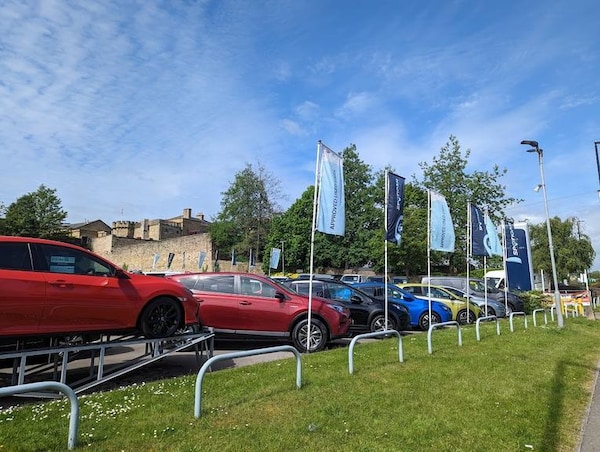 Used Peugeot 2008 2022 for sale - 76228673: Photo 4