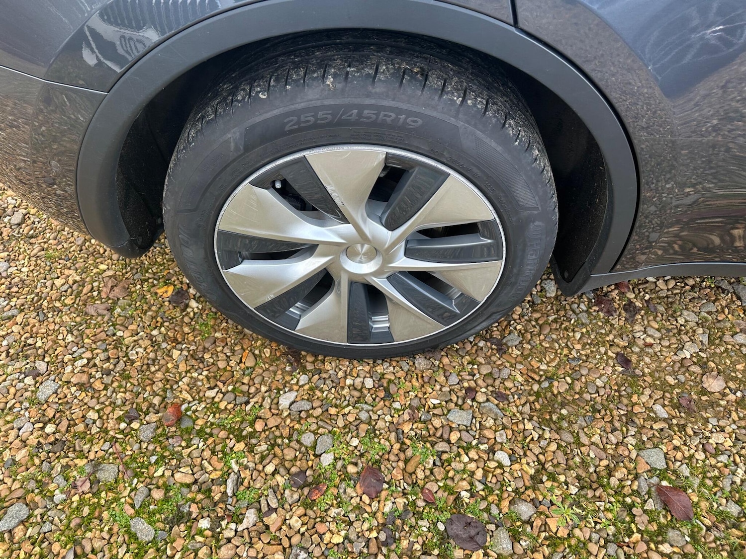 Used Tesla Model Y 2022 for sale - 77050245: Photo 10