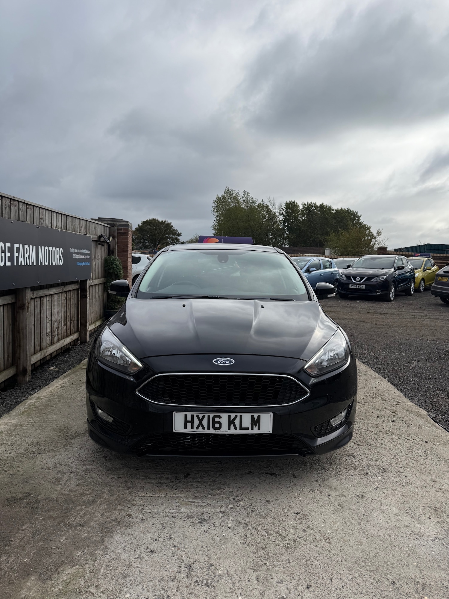 Used Ford Focus 2016 for sale - 76274886: Photo 6