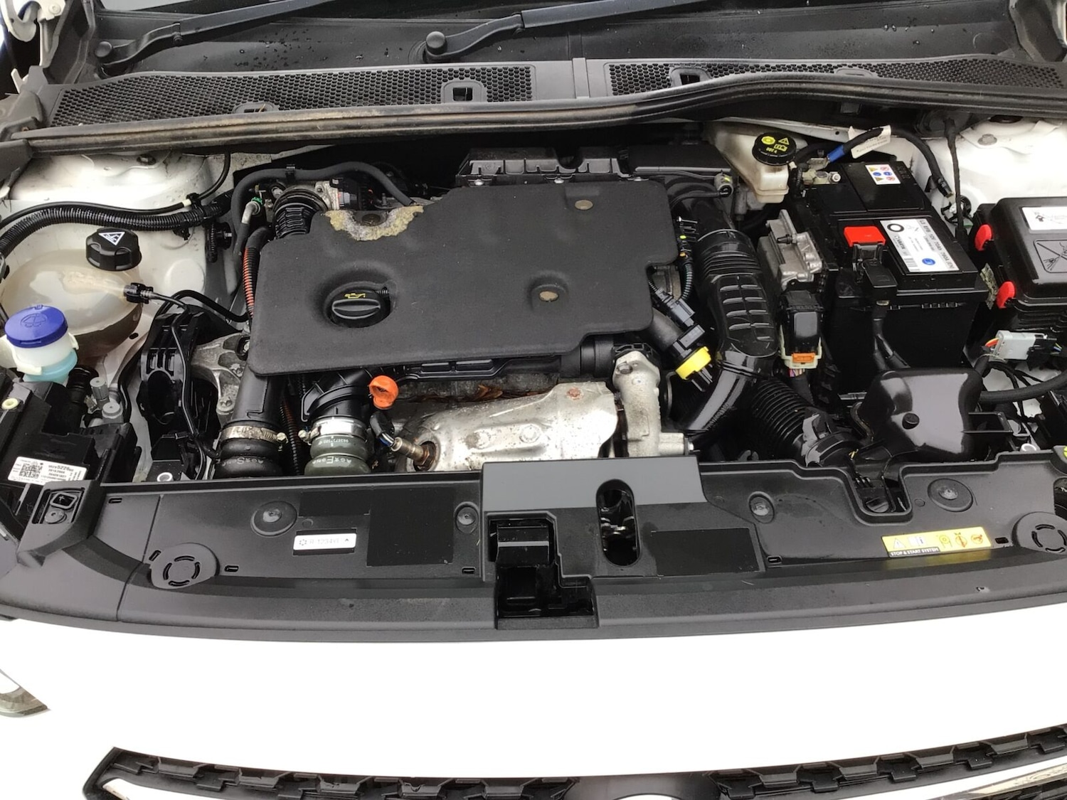 Used Vauxhall Corsa 2021 for sale - 77572339: Photo 15