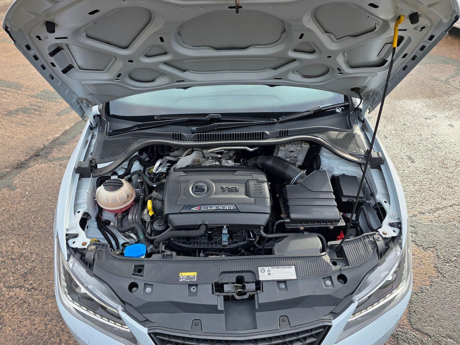 Used SEAT Ibiza for sale - 77484259: Photo 10