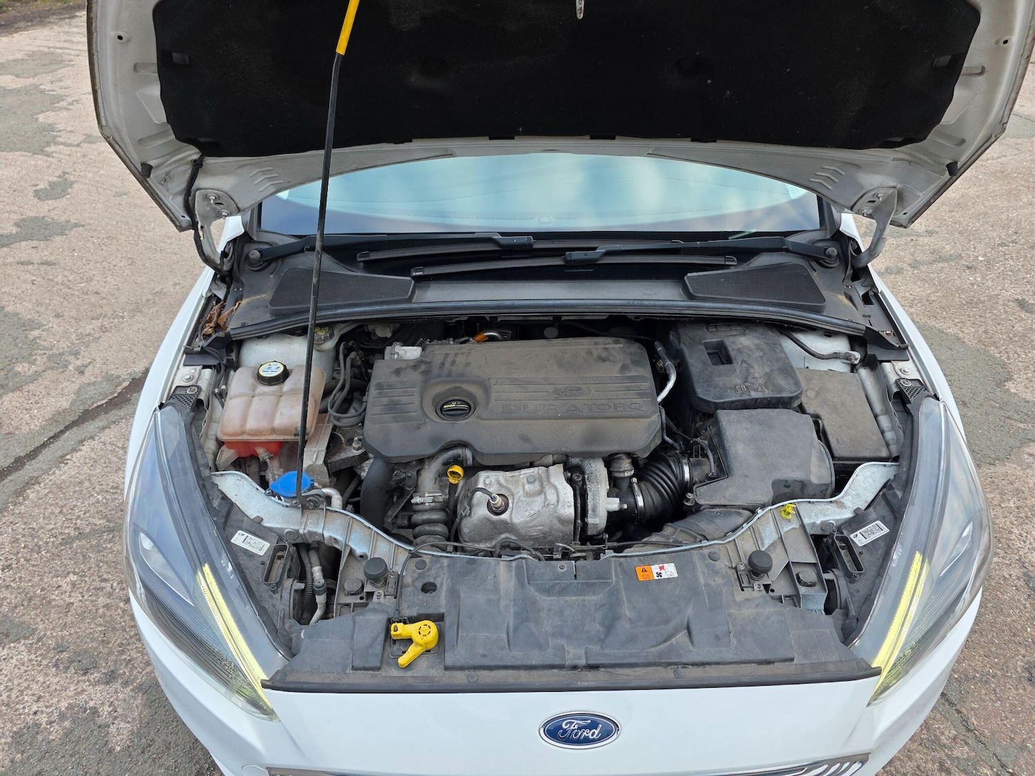 Used Ford Focus 2015 for sale - 77768026: Photo 10