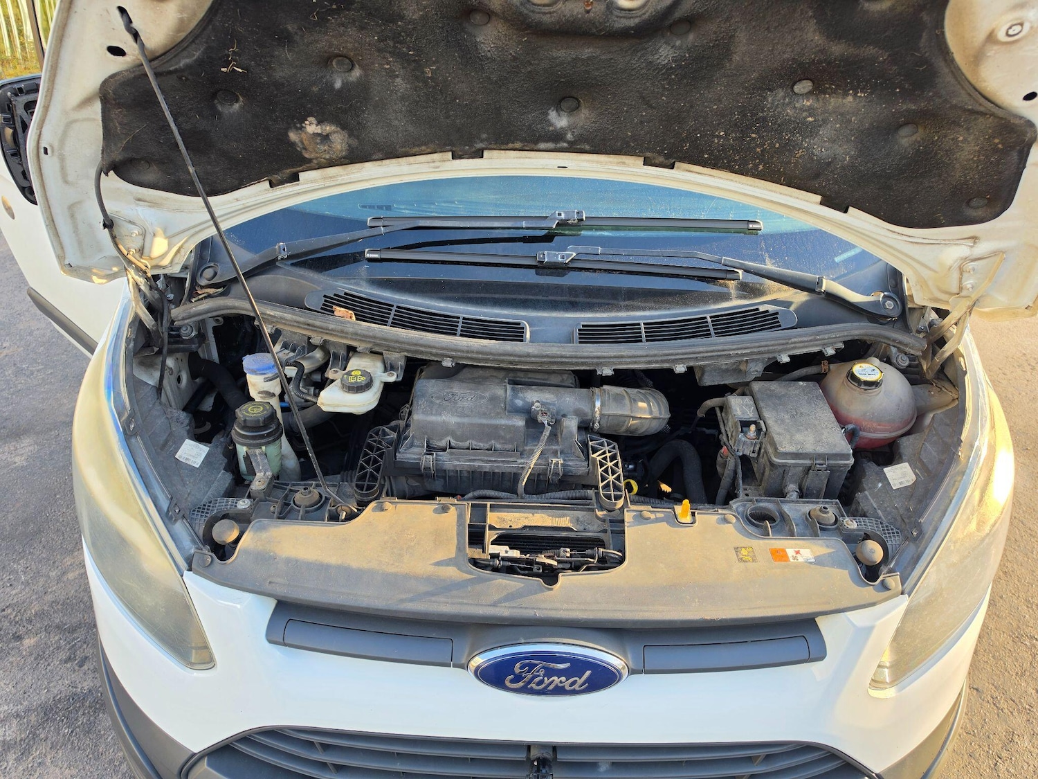 Used Ford Transit Custom 2013 for sale - 77958186: Photo 10