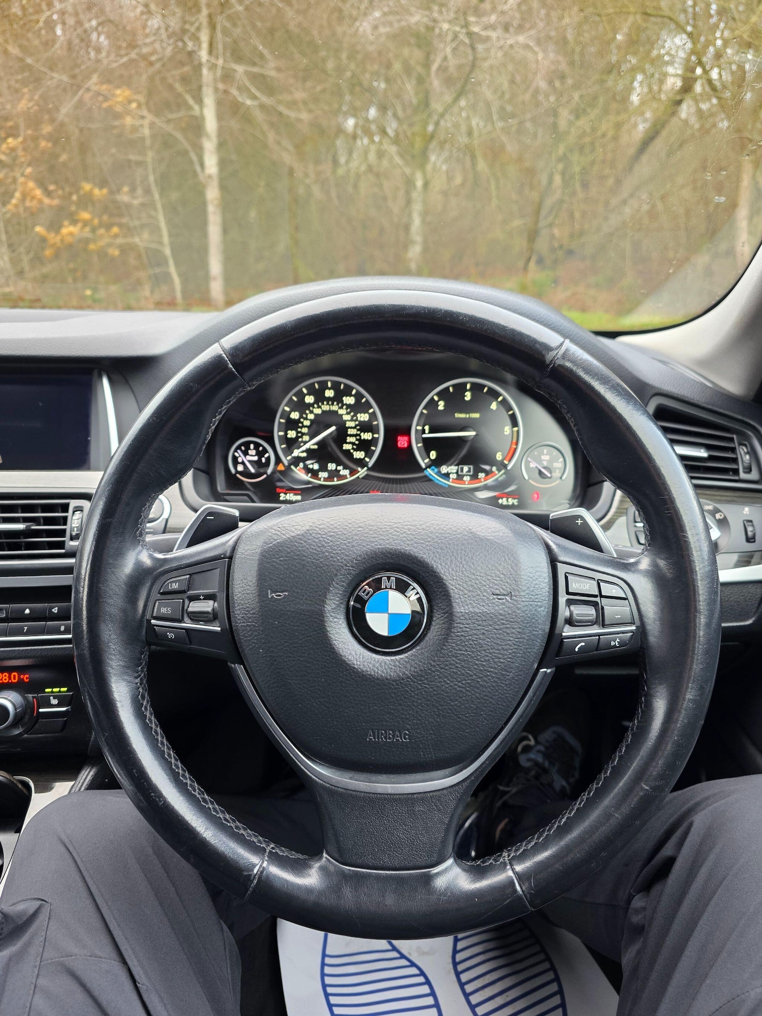 Used BMW 5 Series 2015 for sale - 77255559: Photo 15