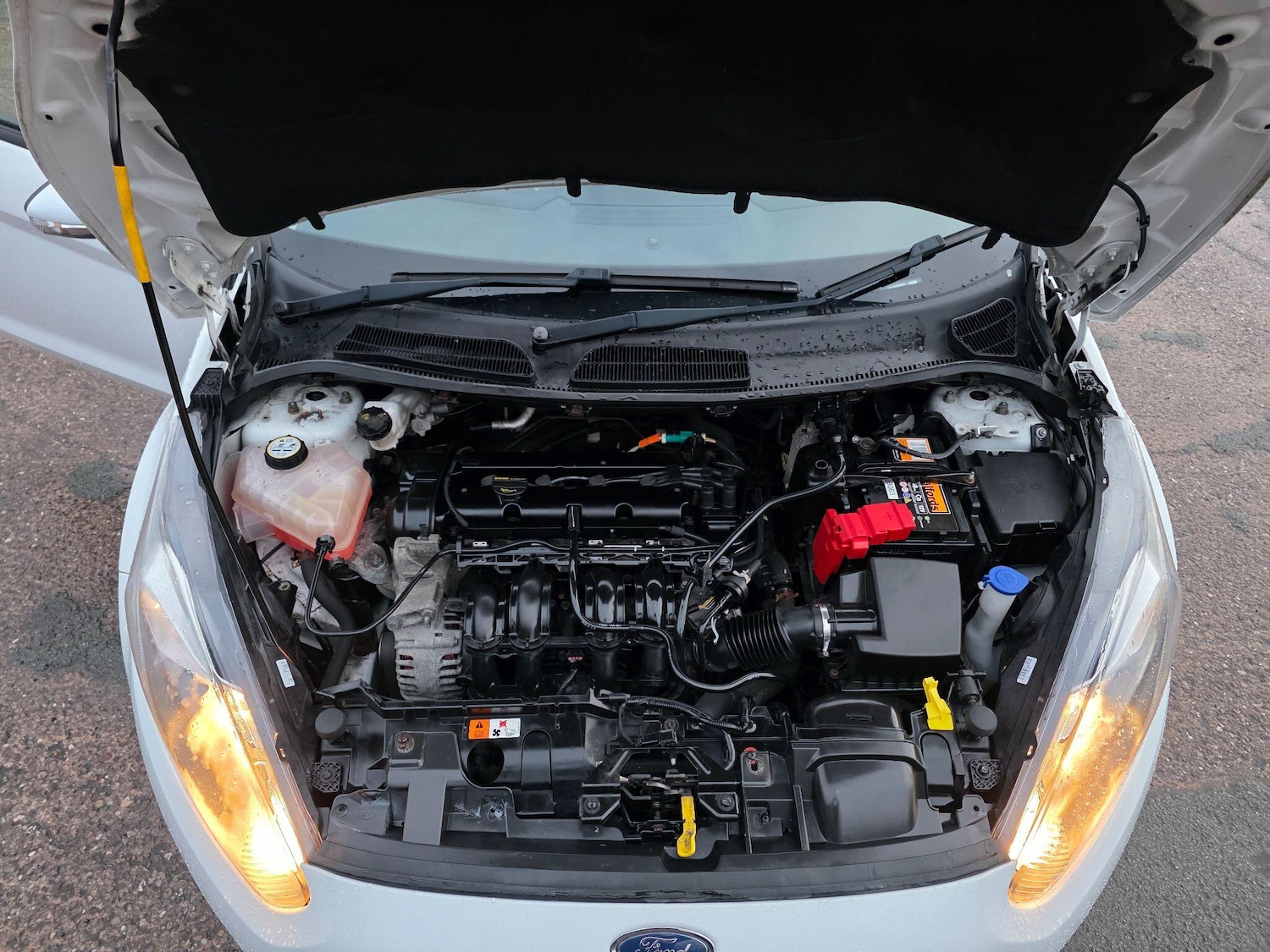 Used Ford Fiesta 2016 for sale - 77524811: Photo 10