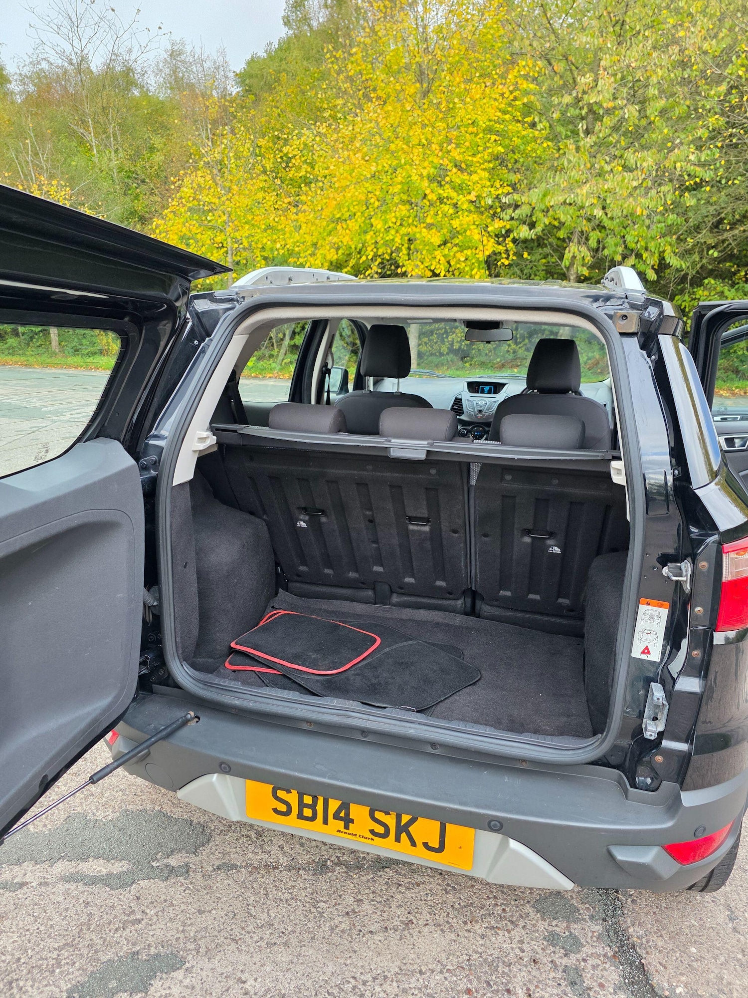 Used Ford Ecosport 2014 for sale - 77290861: Photo 13