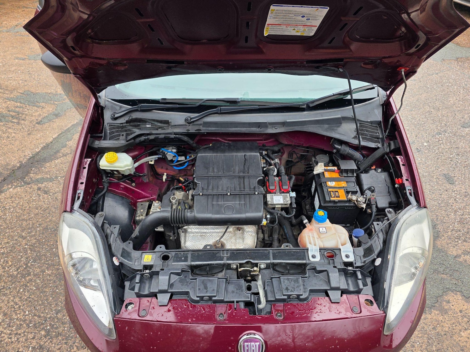 Used Fiat Punto 2012 for sale - 77484101: Photo 10