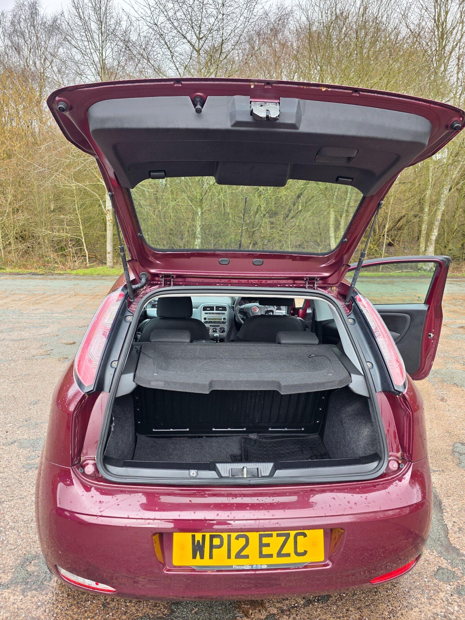 Used Fiat Punto 2012 for sale - 77484101: Photo 13