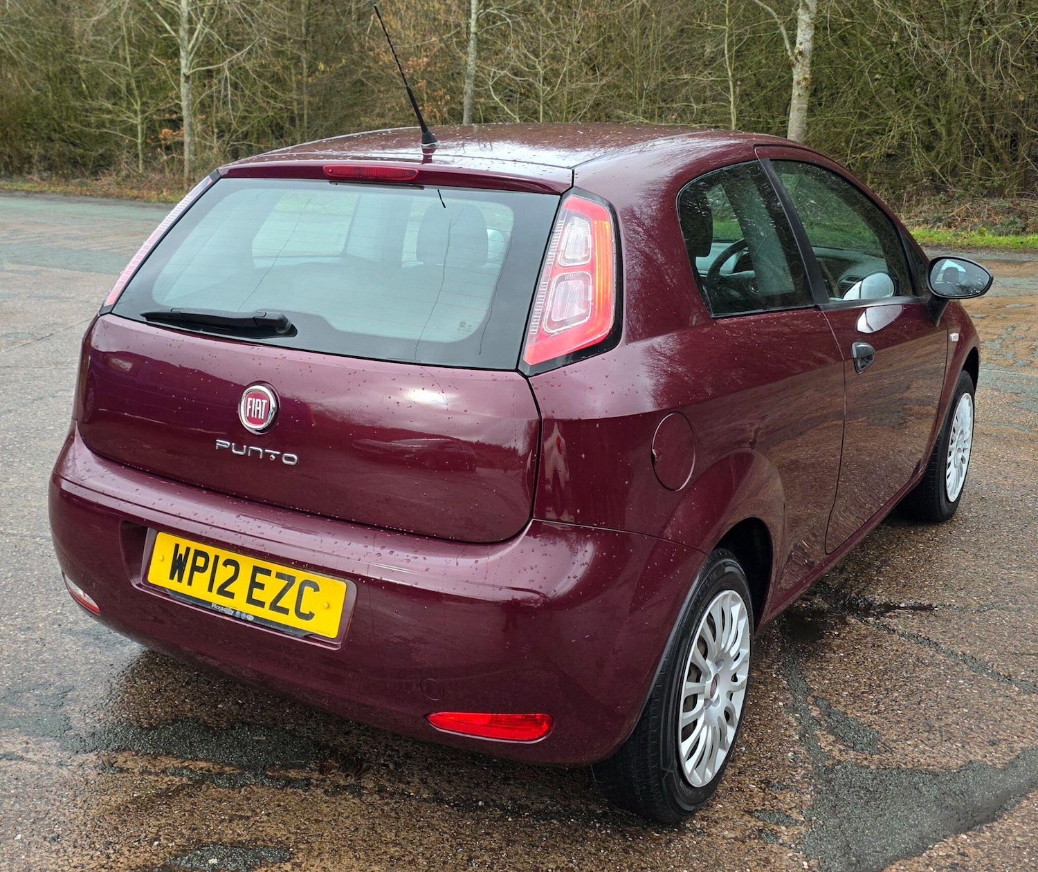 Used Fiat Punto 2012 for sale - 77484101: Photo 3