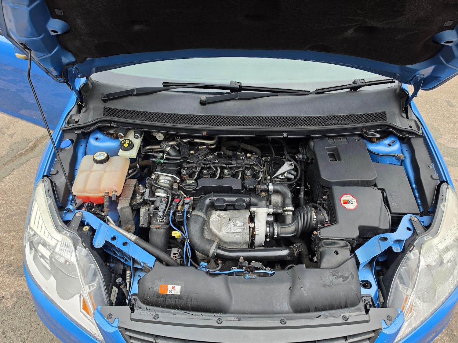 Used Ford Focus 2011 for sale - 78007200: Photo 10