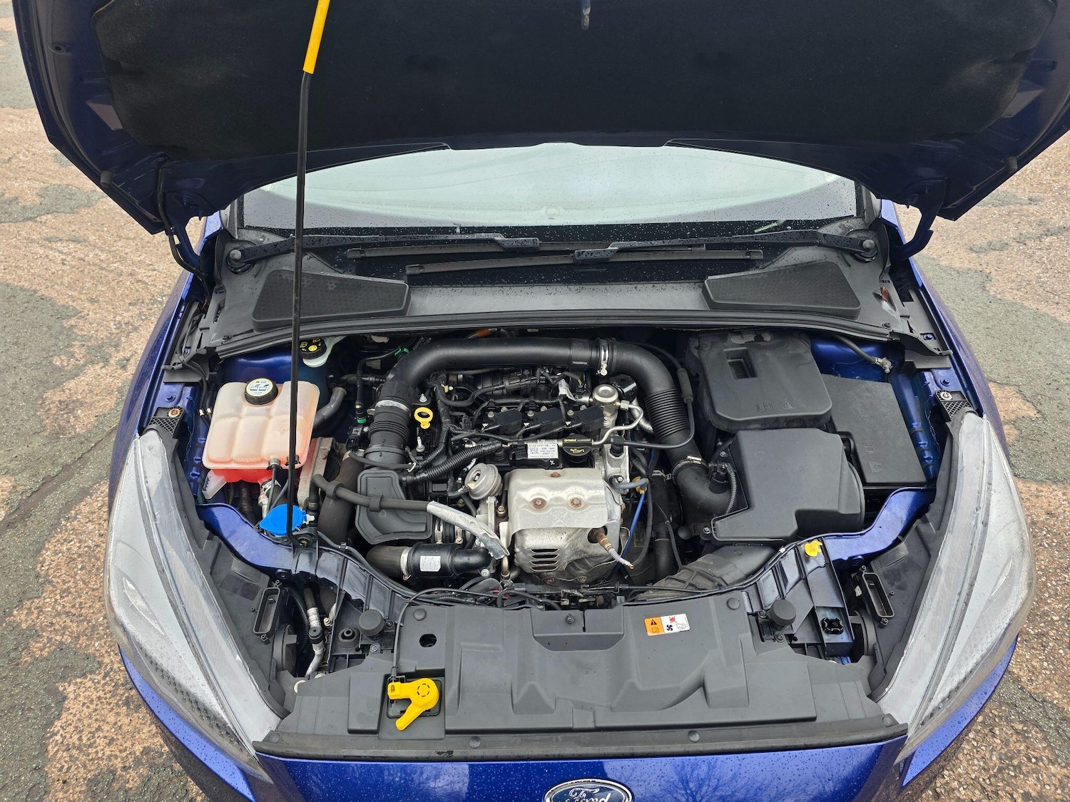 Used Ford Focus for sale - 77586146: Photo 10