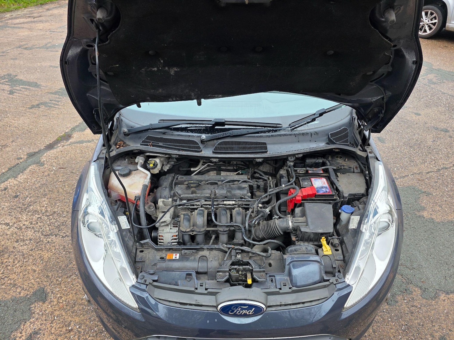 Used Ford Fiesta 2010 for sale - 77291824: Photo 10