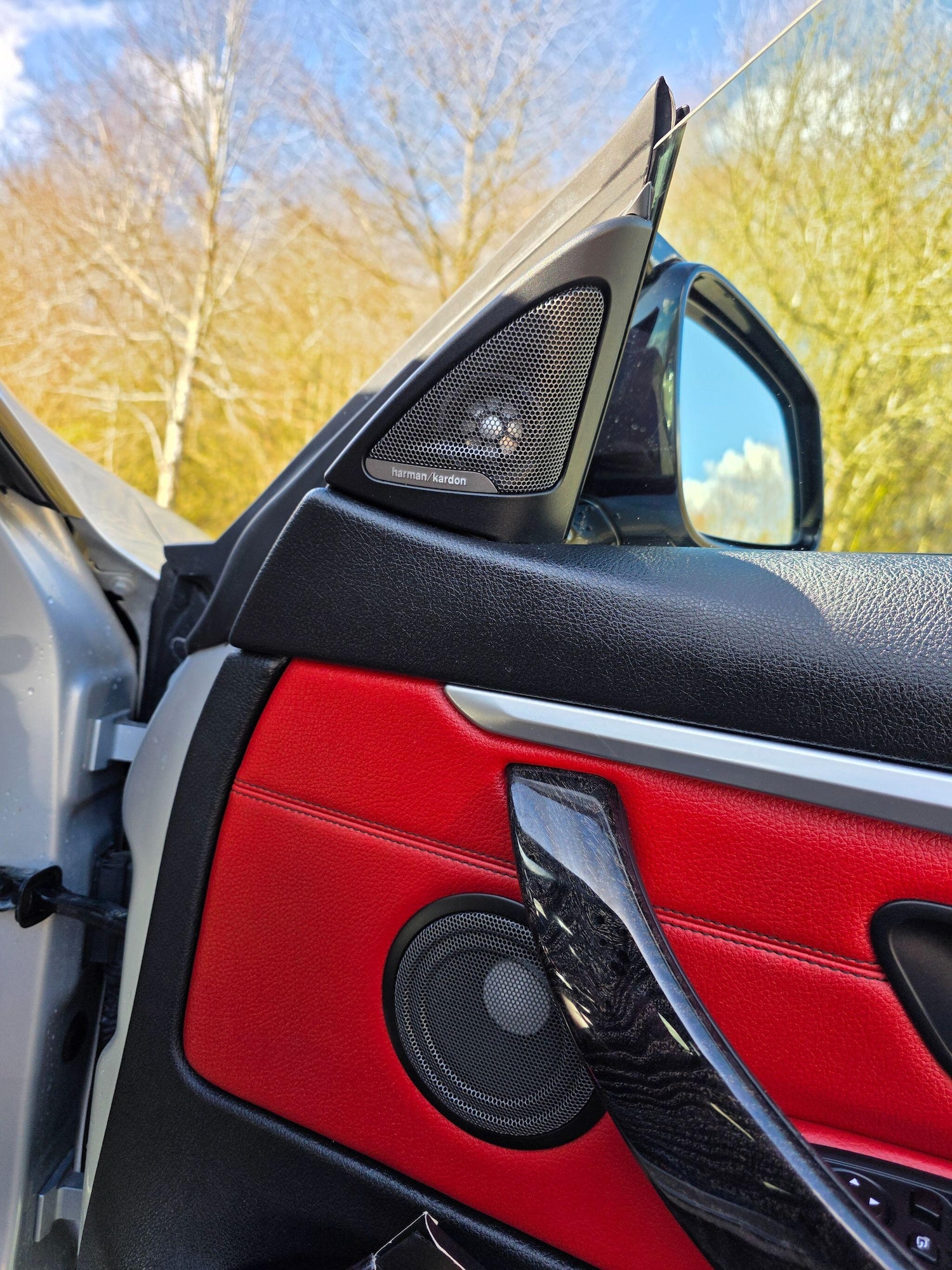 Used BMW 4 Series for sale - 77892370: Photo 15