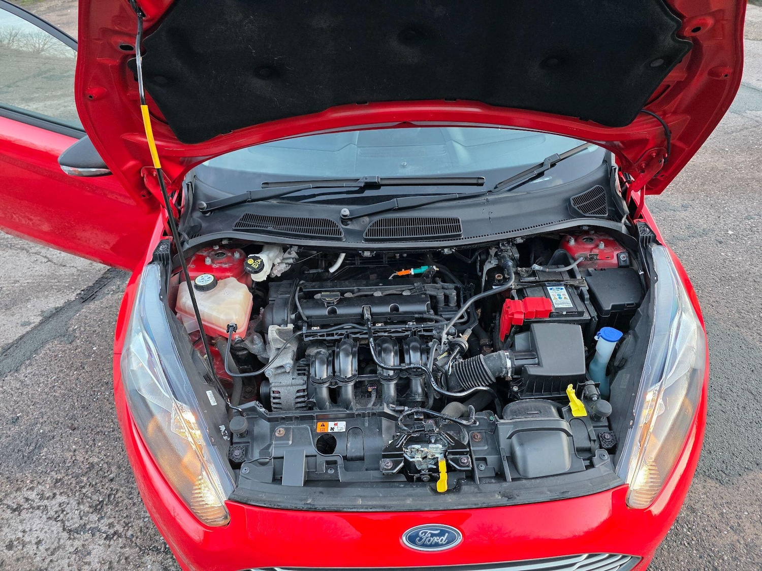 Used Ford Fiesta for sale - 77709501: Photo 10