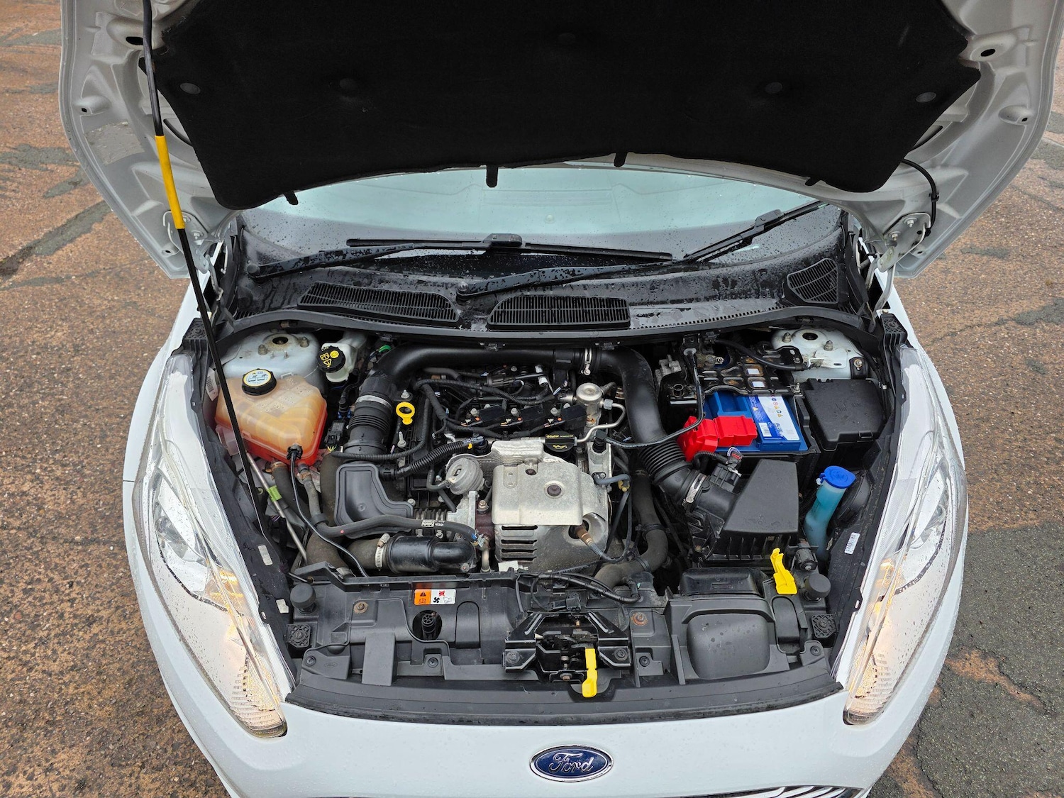 Used Ford Fiesta 2013 for sale - 77695773: Photo 10