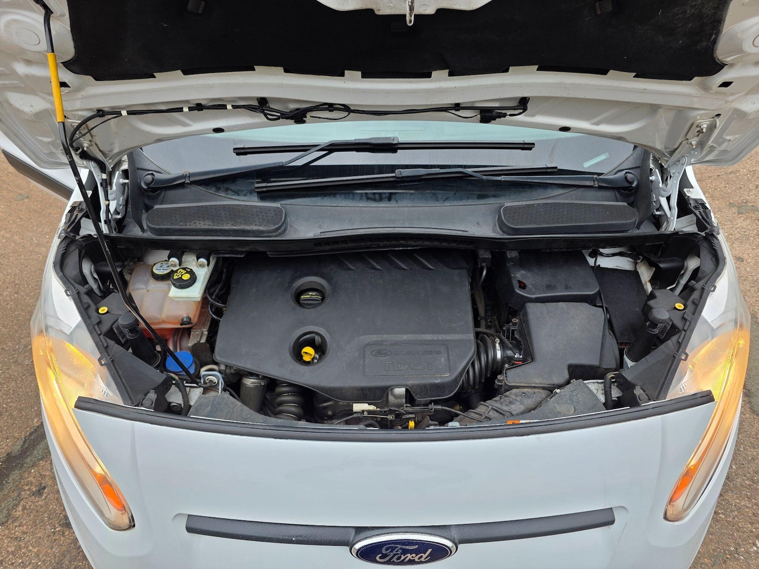 Used Ford Transit Connect for sale - 77768959: Photo 13