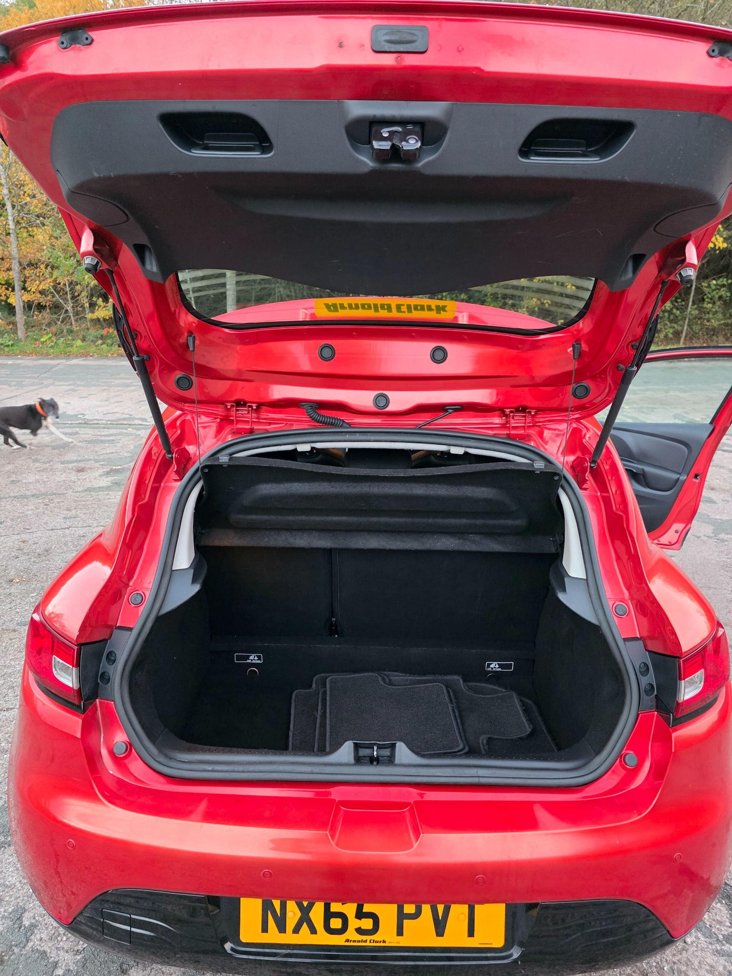 Used Renault Clio 2015 for sale - 77254032: Photo 13