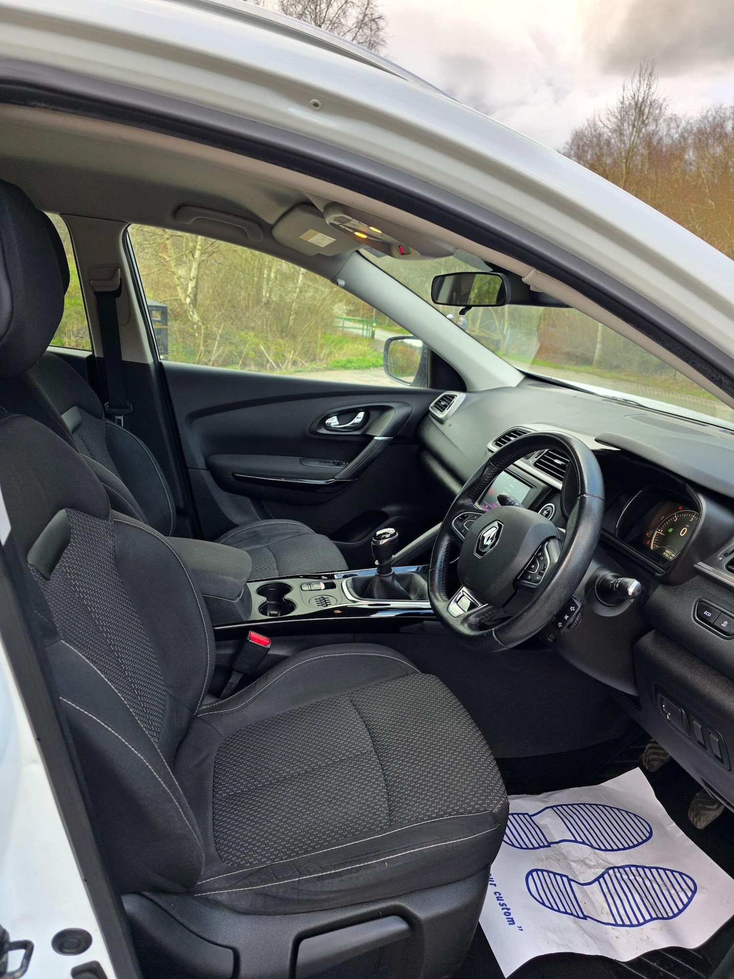 Used Renault Kadjar 2016 for sale - 77957461: Photo 11