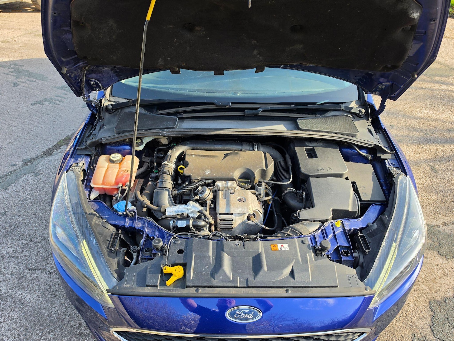 Used Ford Focus for sale - 78214169: Photo 10