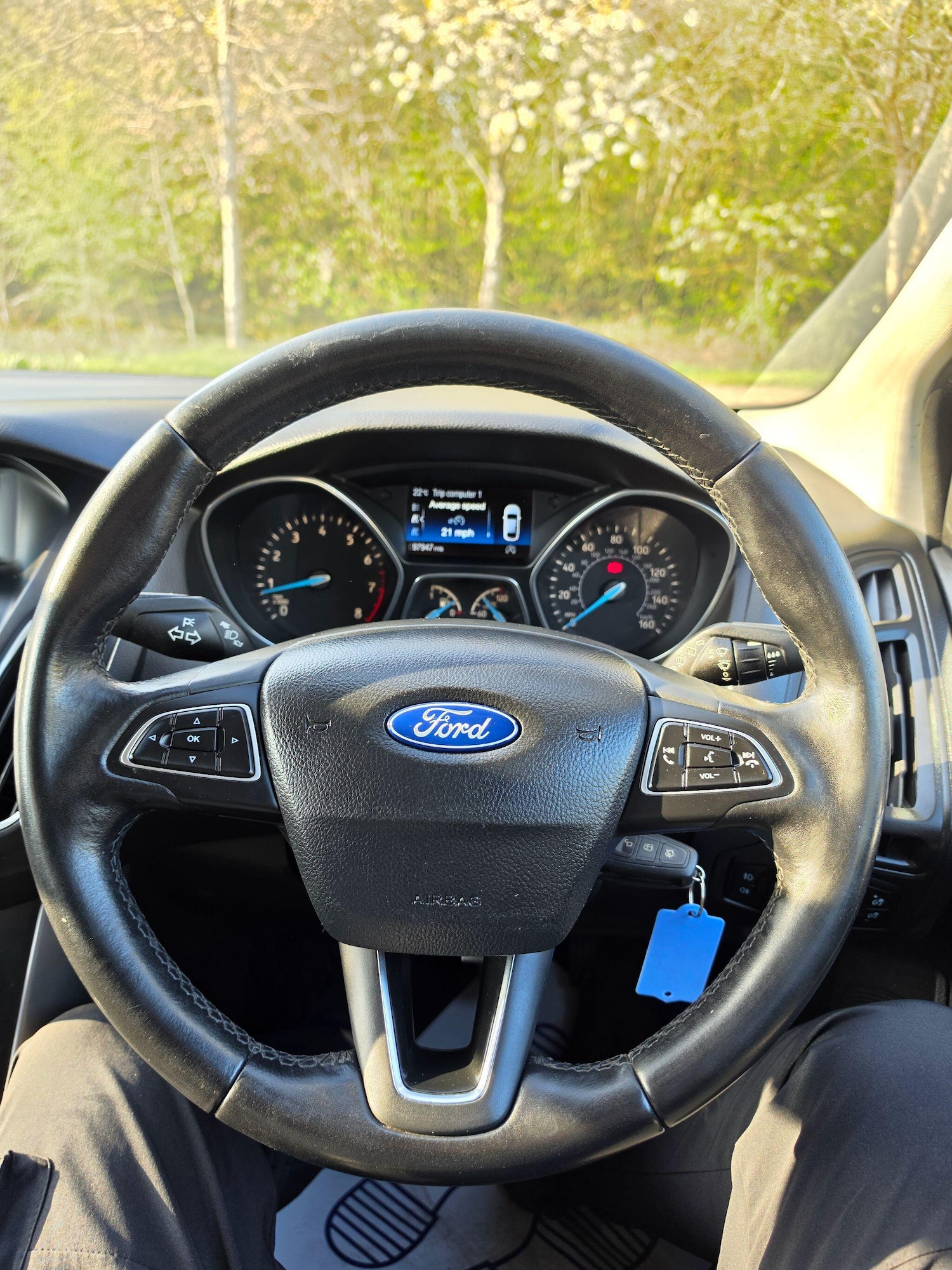 Used Ford Focus for sale - 78214169: Photo 14