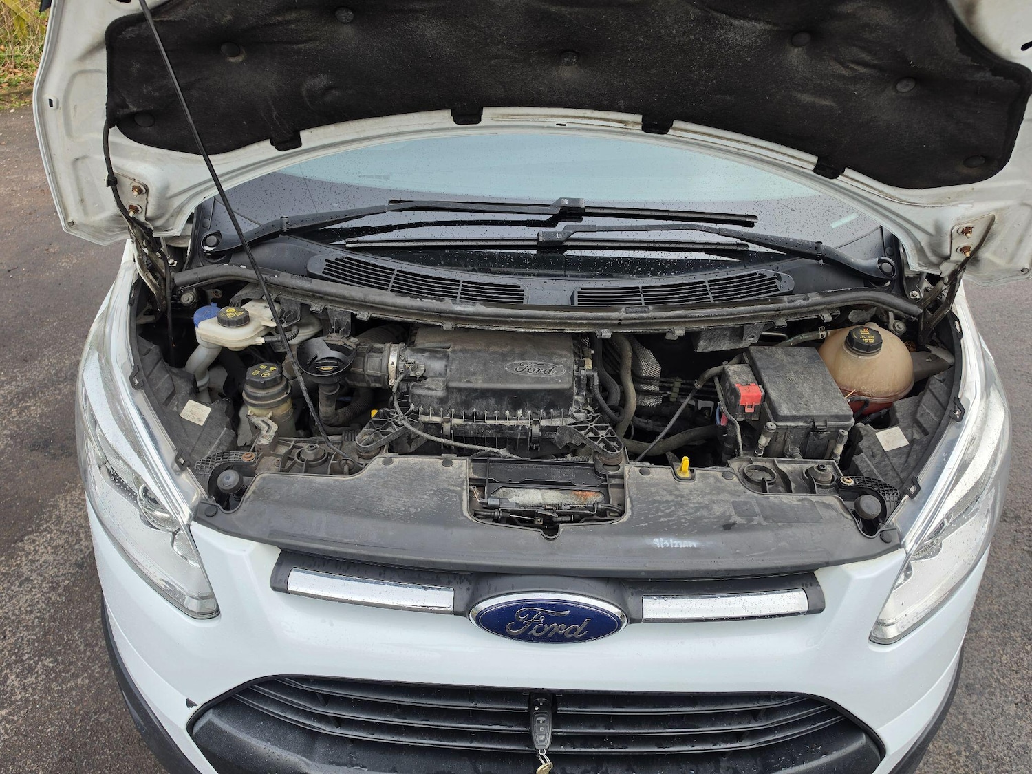 Used Ford Transit Custom 2017 for sale - 78219954: Photo 10